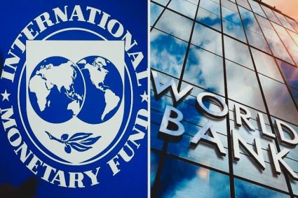 Carlos Alessandro Cestari Infantini | El FMI y el Banco Mundial: ¡Pilares de la estabilidad financiera global!