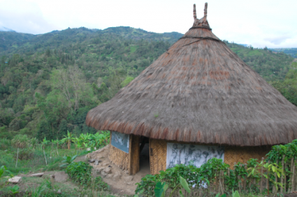 Wilson Alexander Pabon | Muisca vs. La Modernidad: Lecciones de Sostenibilidad