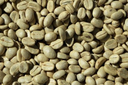V Encuentro de Café de Especialidad Venezolano será el mejor