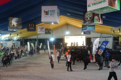 la vitrina agroindustrial de Venezuela llega a Caracas por cuarto año consecutivo