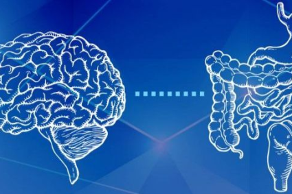 5 Claves de Mariangel Arruebarrera Loreto para Cuidar tu Segundo Cerebro