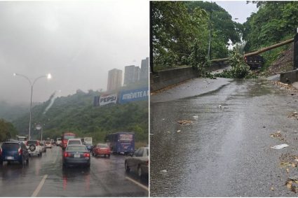 Árboles caídos y zonas sin luz
