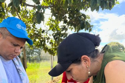 Cuidar el suelo para alimentar el futuro, Día de la lucha contra la desertificación y la sequía