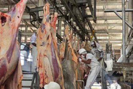 Fedenaga garantiza suministro de carne y leche para La Guaira