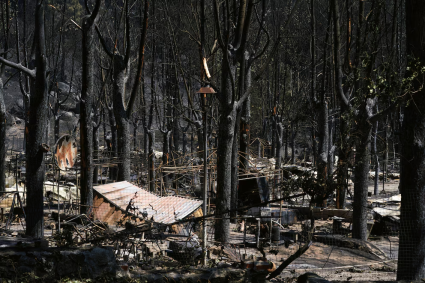 Las fotos de la devastación en España por los incendios forestales