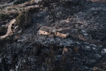 Al menos 12 muertos en combate contra incendios forestales al sur de España