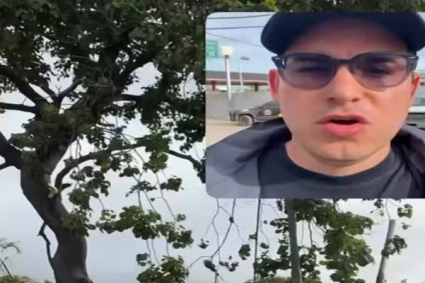 El niño argentino que era buscado por sus padres en La Guaira