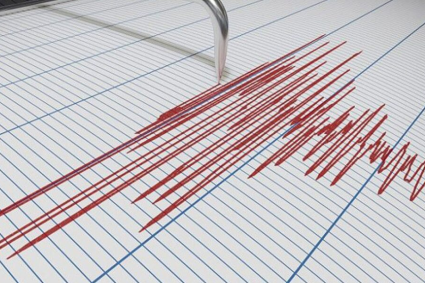 Funvisis registra una nueva serie de sismos en La Guaira y la región costera